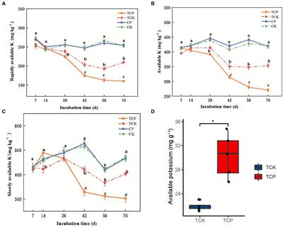 Mechanisms by which chloropicrin fumigation promotes soil potassium conversion and absorption